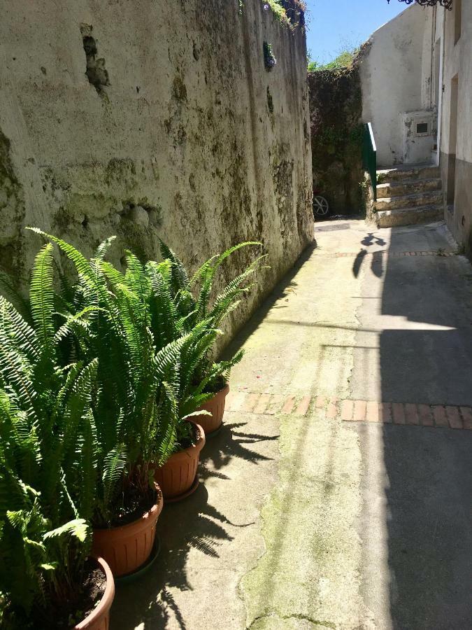 La Casetta Di Zia Cuccu Minori Exterior foto